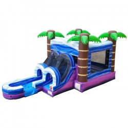 8518CA05 918D 4E1B B173 8A6CF874132B 1654653229 Tropical Water Slide Combo