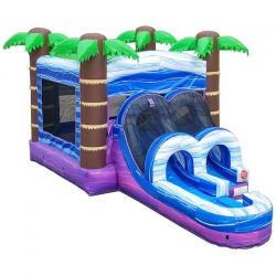 Tropical Water Slide Combo